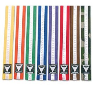 ProForce Thunder White Stripe Double Wrap Karate Belts - Green - Size 5