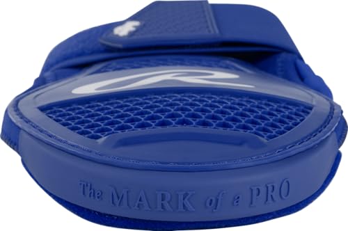 Image of Rawlings | Protective Sliding MITT | Baseball /Softball | Small & Large Sizes | Multiple Colors