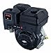 Briggs & Stratton 25T232-0037-F1 2100 Series 420cc Engine with 3-21/32-Inch Length Crankshaft, Tapped 7/16-20