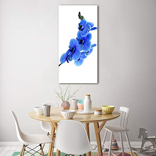 Image orchidée bleue tableau déco en verre trempé 70x140cm horizontal
