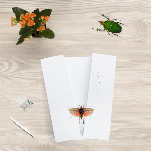 Image of ZENFUN 3 Pcs Insect Pinning Board, 11.8 inchx6.7 inchx1.2 inch Adjustable Butterfly Specimen Spreading Boards for Lab, EVA Foam Board Mounting Specimen Spreading Wings Board for Science, Education