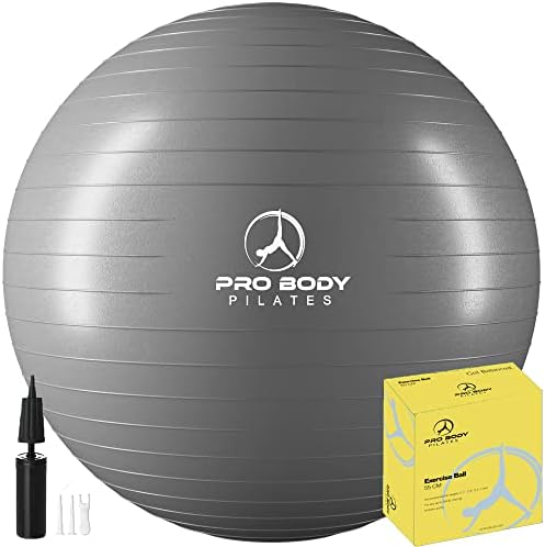ProBody Pilates Ball Exercise Ball Yoga Ball, Multiple Sizes Stability Ball Chair, Gym Grade Birthing Ball for Pregnancy, Fitness, Balance, Workout at Home, Office and Physical Therapy (Silver, 45 cm)