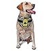 Army - Staff Sergeant Triangle Dog Bandana Scarf Accessories for Pet Bibs