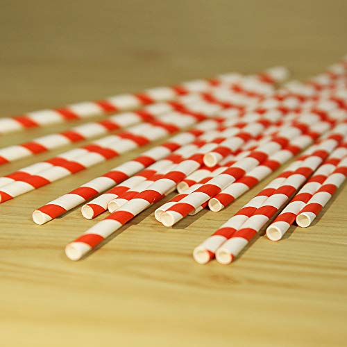 Go Green pitillos biodegradables de papel 7.75 pulg miniatura 2