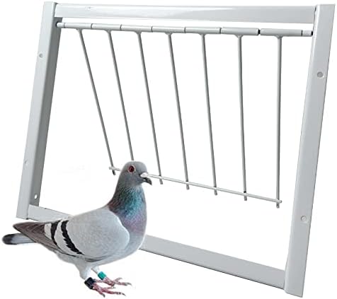 Pigeon Loft Door with Steel Frame, Pigeon Door Trap Rust Resistant Bird Cage House Door for Racing Pigeon, Pigeon Supplies (12in/ 30cm)