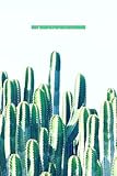  Dot Graph Paper Notebook: An Advanced Nice Books Cactus Photo V2 Family Redbubble Body Home Garden Lifestyle Lesson Buyart Fitness Decor Study Line Up ... A 110-page White List Blank Lined Journal