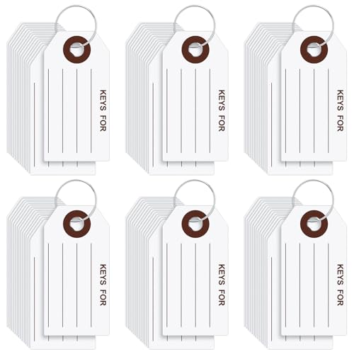 Affrolling 500 etiquetas de chave com anéis de 3,8 x 7,6 cm, etiquetas de chaveiro, etiquetas para c