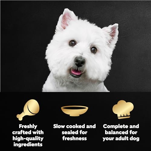 Image of Cesar Filets in Gravy Wet Dog Food Filet Mignon Flavor and Rotisserie Chicken Flavor Variety Pack,Wet Food for Dogs,1.76 oz. Mini-Pouches,20 Count (Pack of 4)