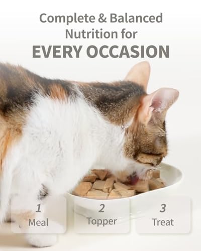 PET-EVER PureFeast gefriergetrocknetes Katzenfutter, 97% tierischen Ursprungs, weiches trockenes rohes Katzenfutter, Katzenleckerli und Toppings (400g, Rindfleisch)