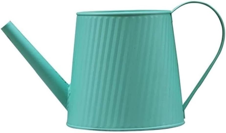 Watering Can Indoor Plants Watering Cans Iron Watering Can Long Spout Prinkling Pot