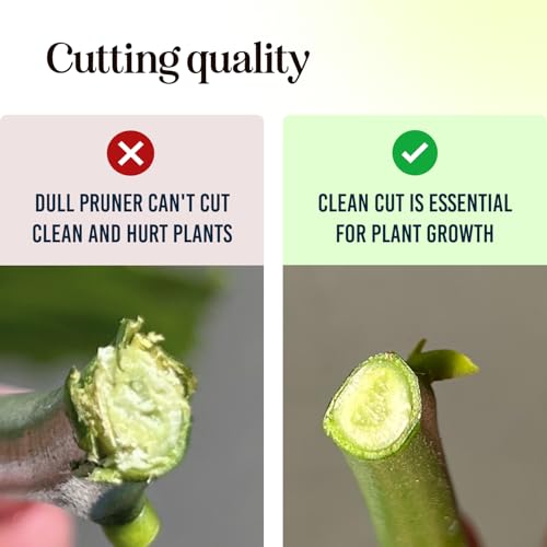 Image of Ultra Sharp Pruning Shears Hedge Clipper - Cuts 3X Easier, Dual-Size Opening, Weak Hand Arthritis Clippers, Rust-Resistant Pruner, Effortlessly Cuts