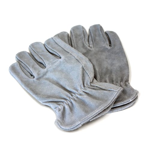 don sullivan's perfect dog training