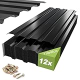 12x Trapezblech 110x46cm (5,94m²) verzinkt & rostfrei – Profilblech Dachblech Wellblech für Carport, Garage, Gartenhaus – inkl. 200 Schrauben – Anthrazit/Schwarz, wetterfest & lang