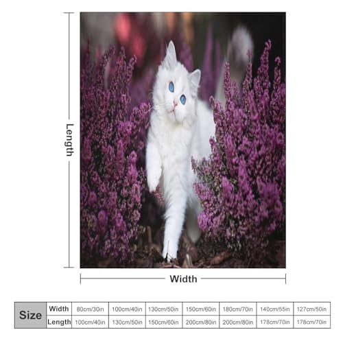 Couvertures polaires en chaton mignon, le cadeau parfait - 6