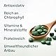 Chlorella aus 100% biologischem Anbau - Chlorella-Algen-Tabletten hochdosiert & ohne Zusätze - Chlorellapresslinge vegan 250 g, 500 Tabletten