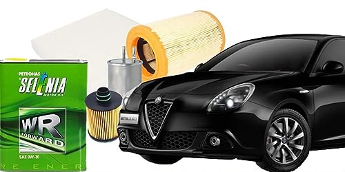 KIT TAGLIANDO 1.6 JTDM 16V 105CV 77KW DAL 2013 + SELENIA WR...