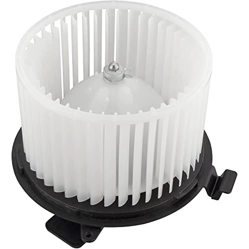 Souffleur pour YM00700116-1 de rechange standard pour moteur et ventilation