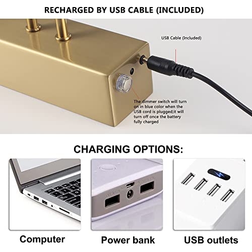 Howmzon Wireless Picture Light, Remote Battery Picture Light With Dimmable And Timer, 16" Metal Art Light For Paintings, Rechargeable Display Lamp For Wall Gallery Portrait Artwork (Copper) #TOP5