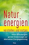 Naturenergien verstehen und nutzen: Viktor Schaubergers geniale Entdeckung zur alternativen Energiegewinnung