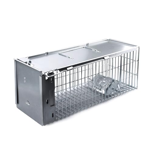 Faicuk Heavy Duty Squirrel Trap Chipmunk Trap Rat Trap and Other Similar-Size Rodents - 16.3” x...
