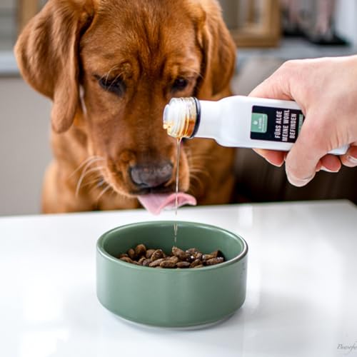 Tales&Tails - Fürs ALGEmeine Wohlbefinden - 100% Algenöl mit Omega 3 für Hunde (2er Pack)