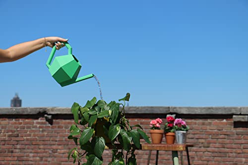 Polymaker PolyTerra PLA+ Verde - 1.75mm - 1kg