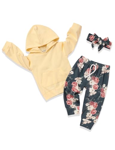 Image of Baby Girl Clothes, Flower Hoodie Sweatshirt&Pant with Headband, Toddler Girls Fall Winter Outfits Clothes Set