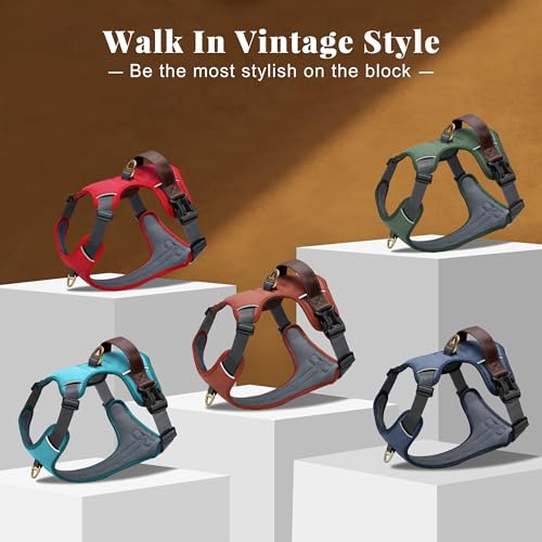 Didog No Pull Dog Harness for Medium Dogs, Classic PU Leather, Green, M by Didog - Image 7