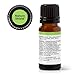 Plant Therapy Nature Shield Essential Oil Blend 10 mL (1/3 oz) 100% Pure, Undiluted, Natural Aromatherapy, for Camping and Outdoor Activities
