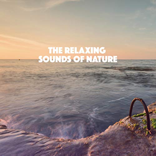 The Relaxing Sounds of Nature Nature Sounds & White Noise Therapy & Sleep Sounds