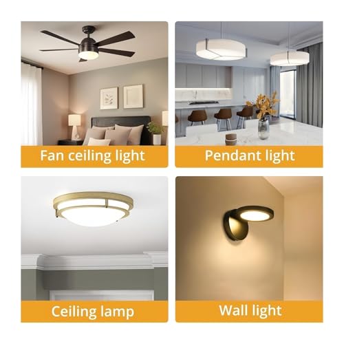 Module d'éclairage LED 220V 36W | Plafonnier rond lumière blanche 6500K