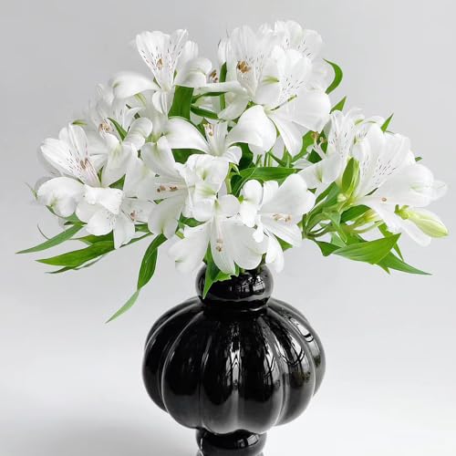 300 Pc Semillas De Alstroemeria - Plantas Herbarias, Flores Para Balcón, Alstroemeria Híbrida, Balcón De Flores, Regalos De Jardín Para Mujeres. Flores Decorativas, Semillas De Bonsai