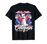 Cotopaxi National Park Souvenir Ecuador Llama Hike