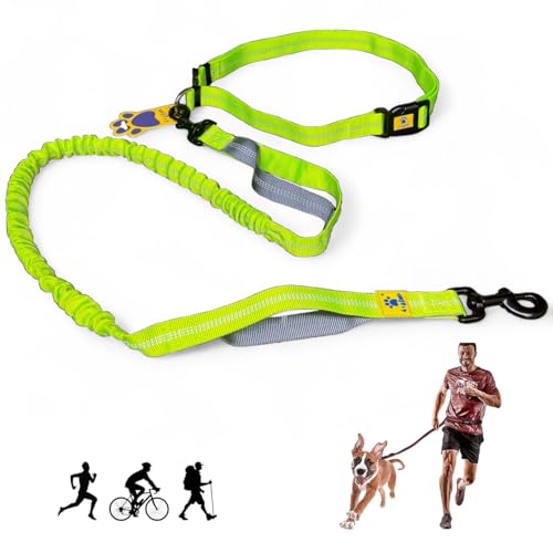 Image of A+a Pets' 2in1 Bungee Hands-Free Dual Hold Dog Leash | Waist Body Elastic Leash for Running | Adjustable Lightweight Nylon Waterproof Multi-Function Belt Lead (Green)