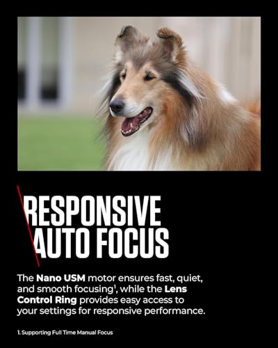 Canon RF 100-400mm F5.6-8 is USM - Lens for Canon R System Cameras, Ideal for Wildlife Photography, Sports, Action and Aviation.