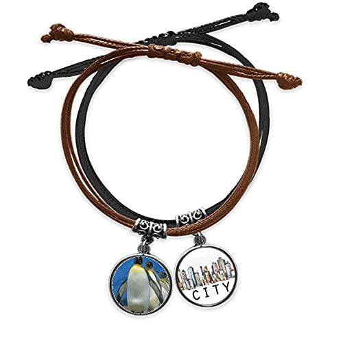 Bracelet scientifiques de l'antarctique en cuir et corde, le cadeau idéal pour passionné de nature