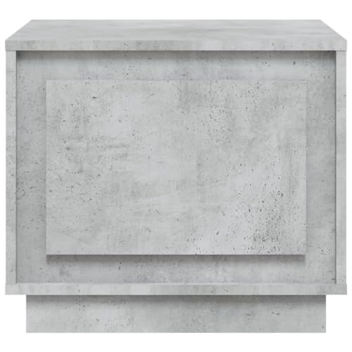 Table basse gris béton en bois avec porte et niche de rangement compacte