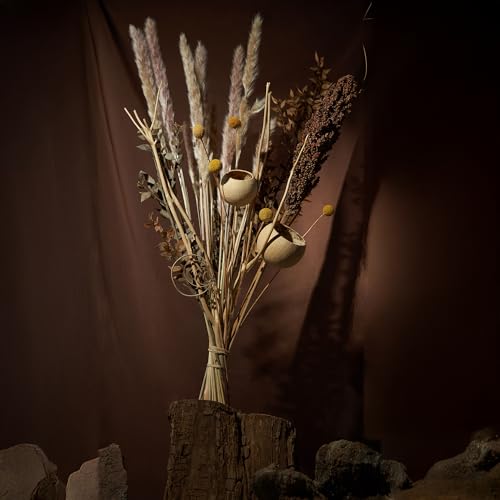 Aura Maison Flores Secas Decoracion, Ramo Flores Secas Naturales 60cm, Hecho en España, Flor Seca Decoracion Hogar, Ramas Decorativas para Jarrones Decorativos Modernos para Home Decoration - imagen 8