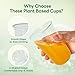 Vplus 16 oz Compostable Clear Plastic Cold Cups, 100 Pack Biodegradable Disposable Cups, BPA & PFAS Free, Plant-Based Plastic Cups for Juice, Wine, Parties, Weddings, and Everyday Use 5