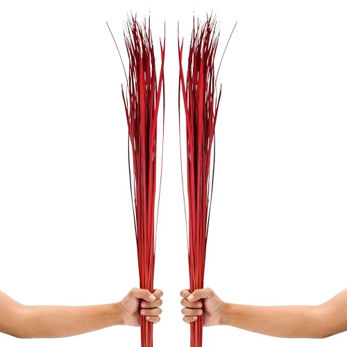 Image of Leewadee Tall Vase Filler , Natural Grass Stems - 2 Bunches of Colored Branches for Vases, Carefully Dried Twigs for Home and Bar Decoration, 45 inches, Red