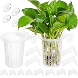 Aquarium-Pflanzenhalter mit Haken und Saugnäpfen für Aquarium, Aquaponische Pflanzenzucht und Aquascape Zubehör, Dekorationen, 2 Stück, transparent
