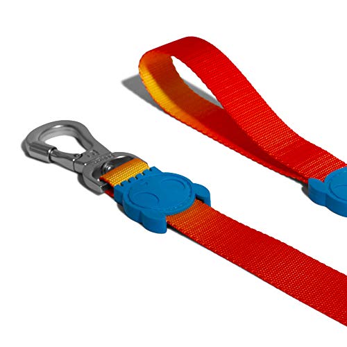 Guia Laço Solaris Tamanho G Zee Dog para Cães