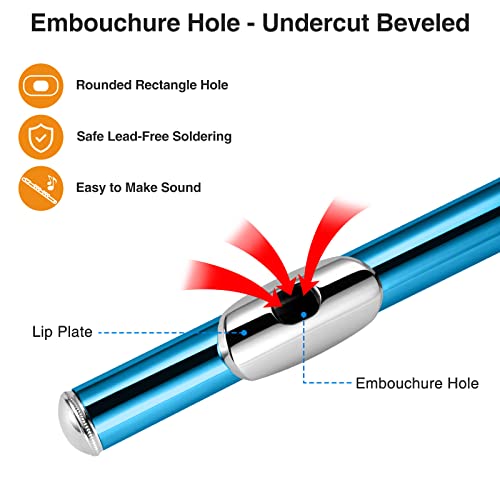 image for POGOLAB Flutes, Closed Hole C 16 Keys Flute Instrument, Student Flute 