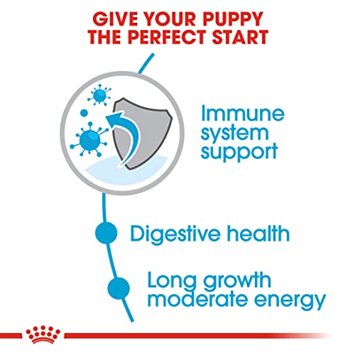 Image of Royal Canin Maxi Puppy Food, Dry Food, Supports Immune System & digestive health, Provides Long growth, moderate energy, 4 Kg