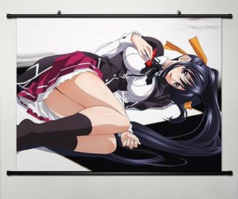 Wall Scroll Poster Fabric Painting For Anime High School DxD New Himejima Akeno 011