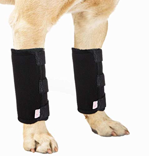 WXFEXIA Hunde-Bandage für die Vorderbeine, schützt die Wunden, unterstützt die Heilung durch Arthritis, um Verletzungen und Verstauchungen oder beim Gehen zu verhindern (1 Paar, L) Cover