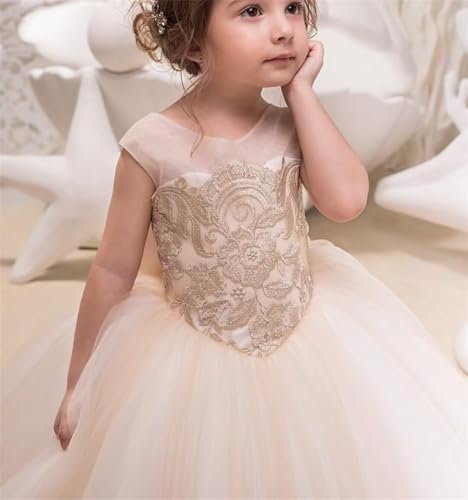 Flower Girl Dresses for Weddings Lace Appliques Kids Pageant Dresses Party Formal Dance Ball Gown with Bowknot4