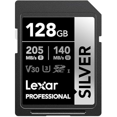 Lexar 128GB Professional Silver SDXC Card Cover