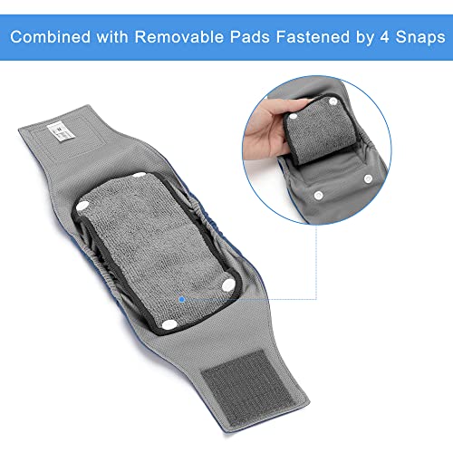 Teamoy Belly Bands For Male Dogs With Removable Pads, Reusable Washable Puppy Dog Diaper Wraps With Gray Lining(Pack Of 3),M #TOP1