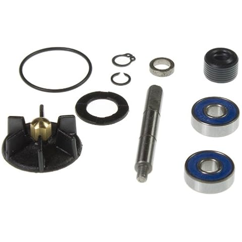 Kit de reparación de bomba de agua para motores (50 cm³) para Gilera y Piaggio/Vespa Cover